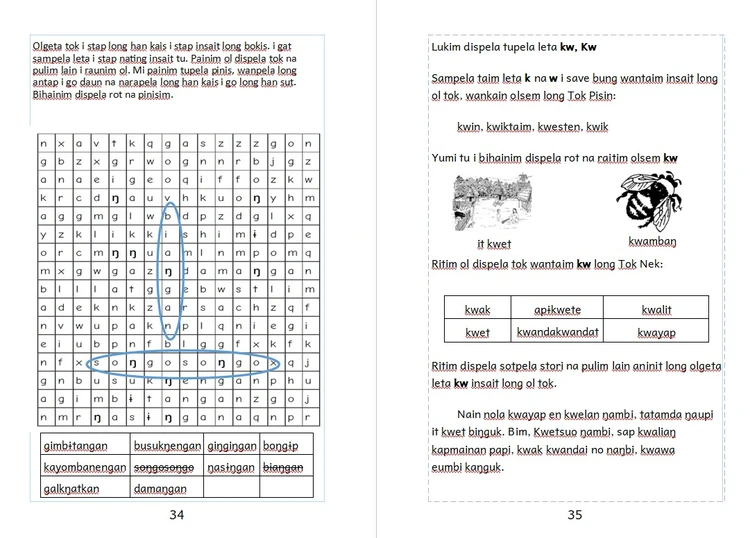 Transfer Activity book. inside