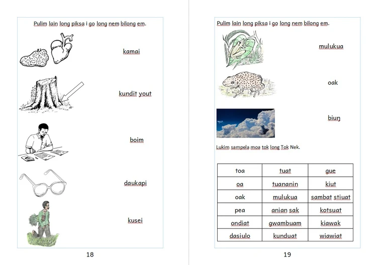 Transfer Activity book. inside