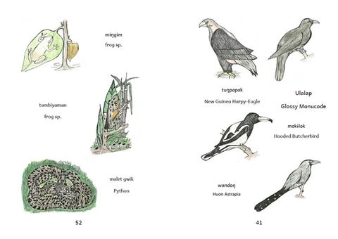 Illustrationen Pic. Dic.