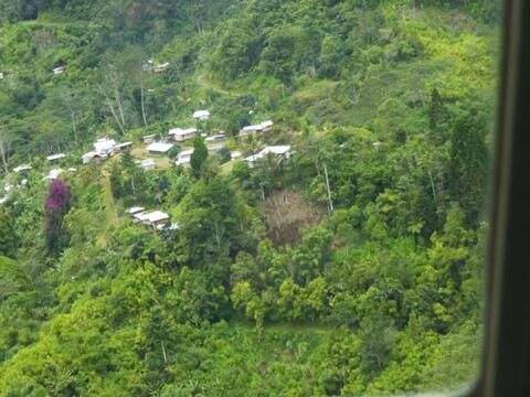 Nek area 