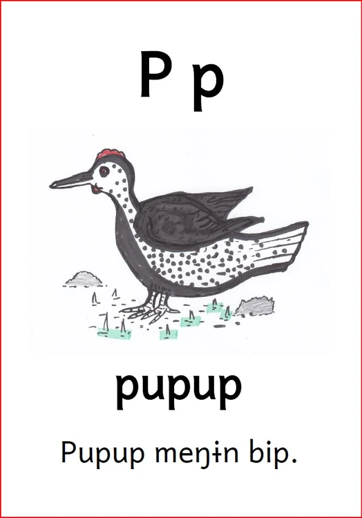 P p