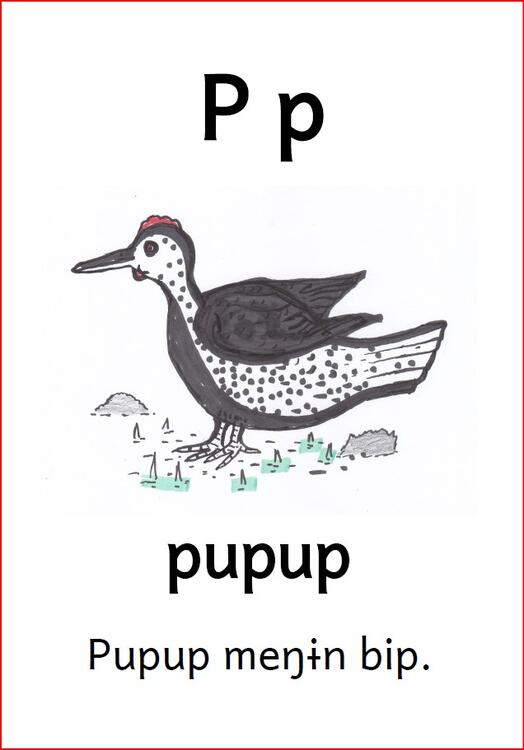 P p P p