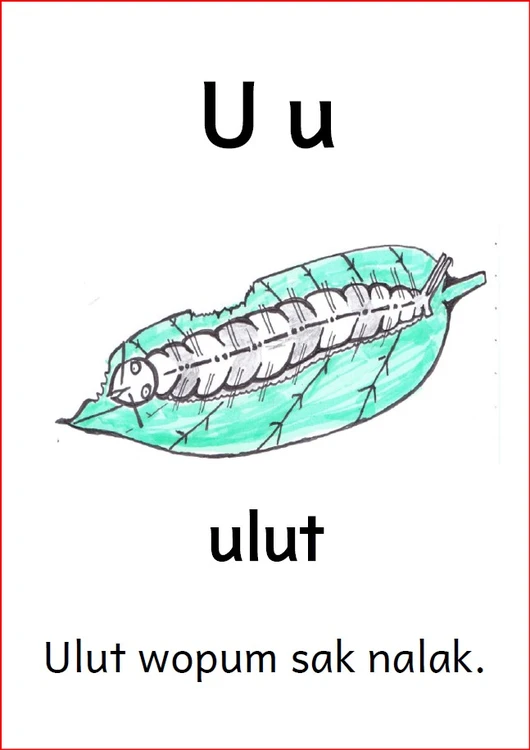 U u