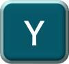 Y Y