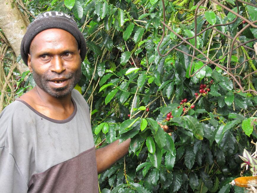 Coffee Farmer